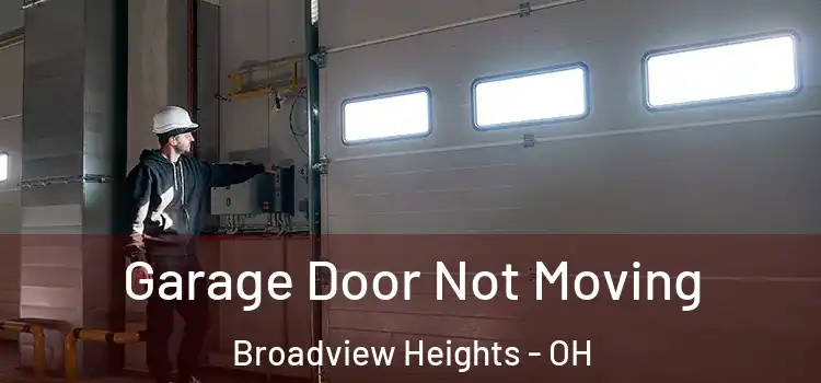  Garage Door Not Moving Broadview Heights - OH