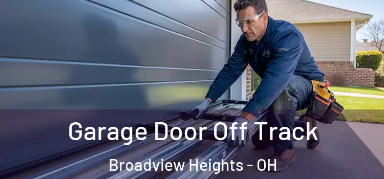  Garage Door Off Track Broadview Heights - OH