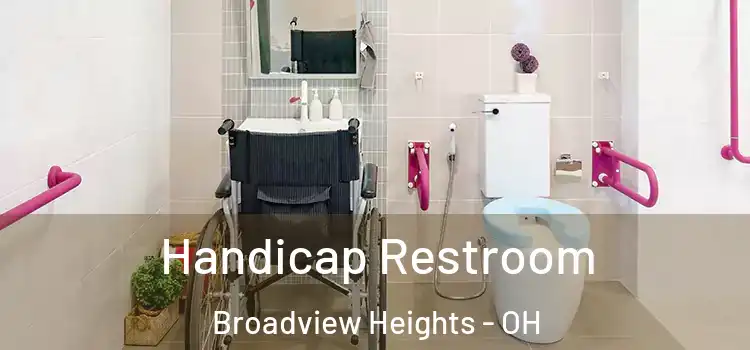  Handicap Restroom Broadview Heights - OH