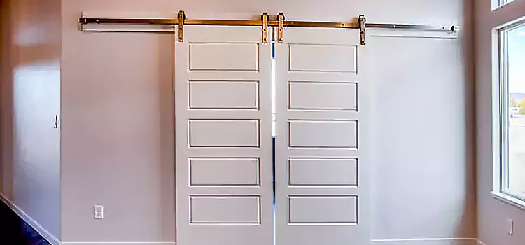 Glass Barn Door with Installation Hardware Kit Broadview Heights