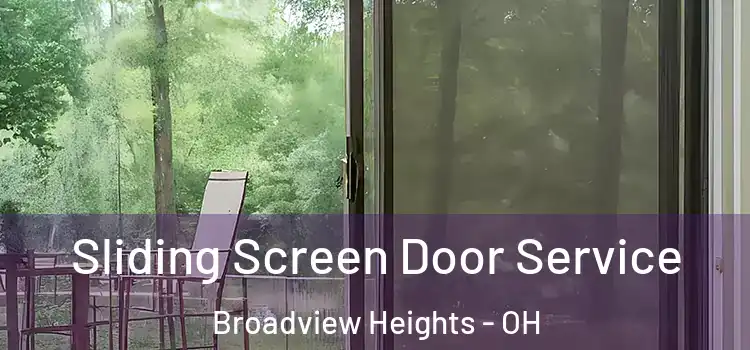  Sliding Screen Door Service Broadview Heights - OH